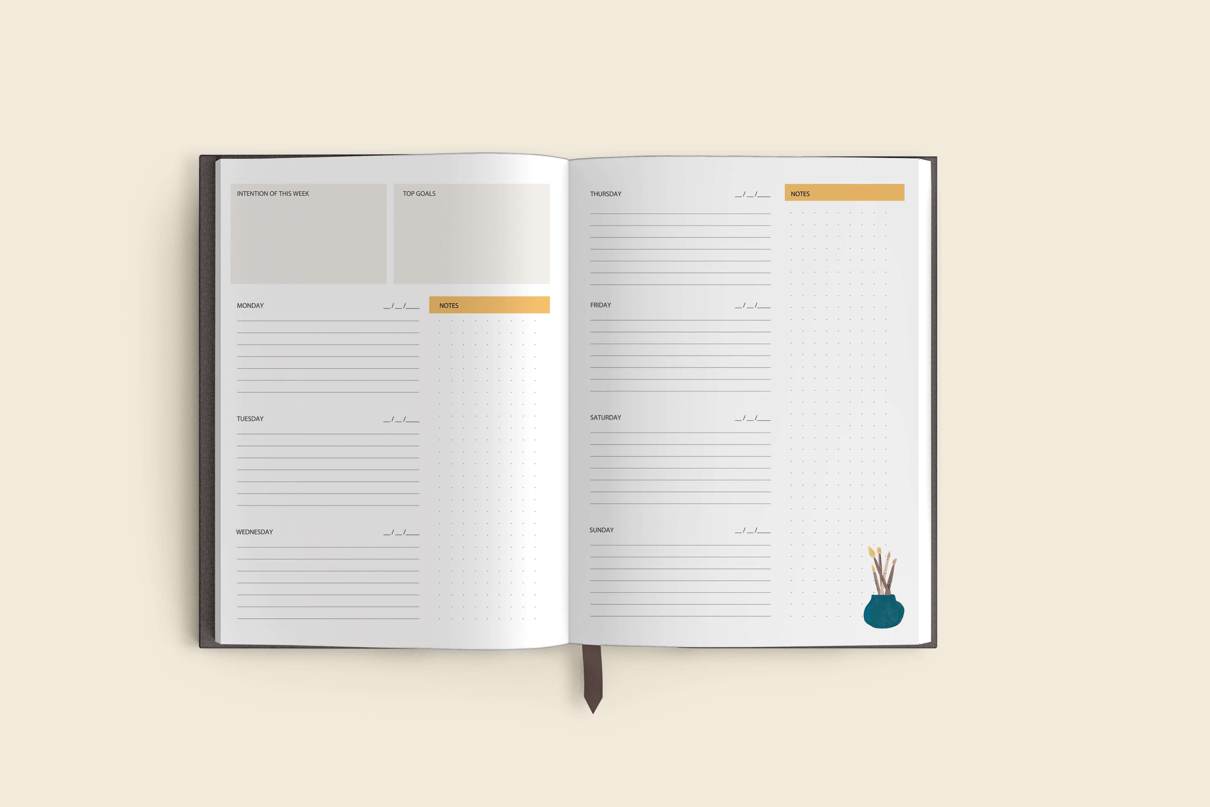 Visions for the year